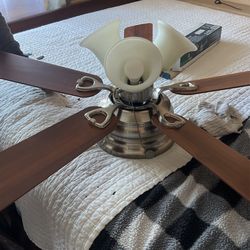 Fan And Light Combo