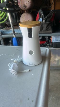 Dog Camera