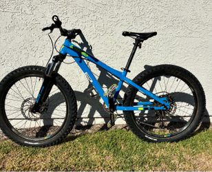 Diamond Back Youth Mountain Bike