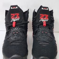 Nike Shoes LeBron BQ3177-006 Size 10.5