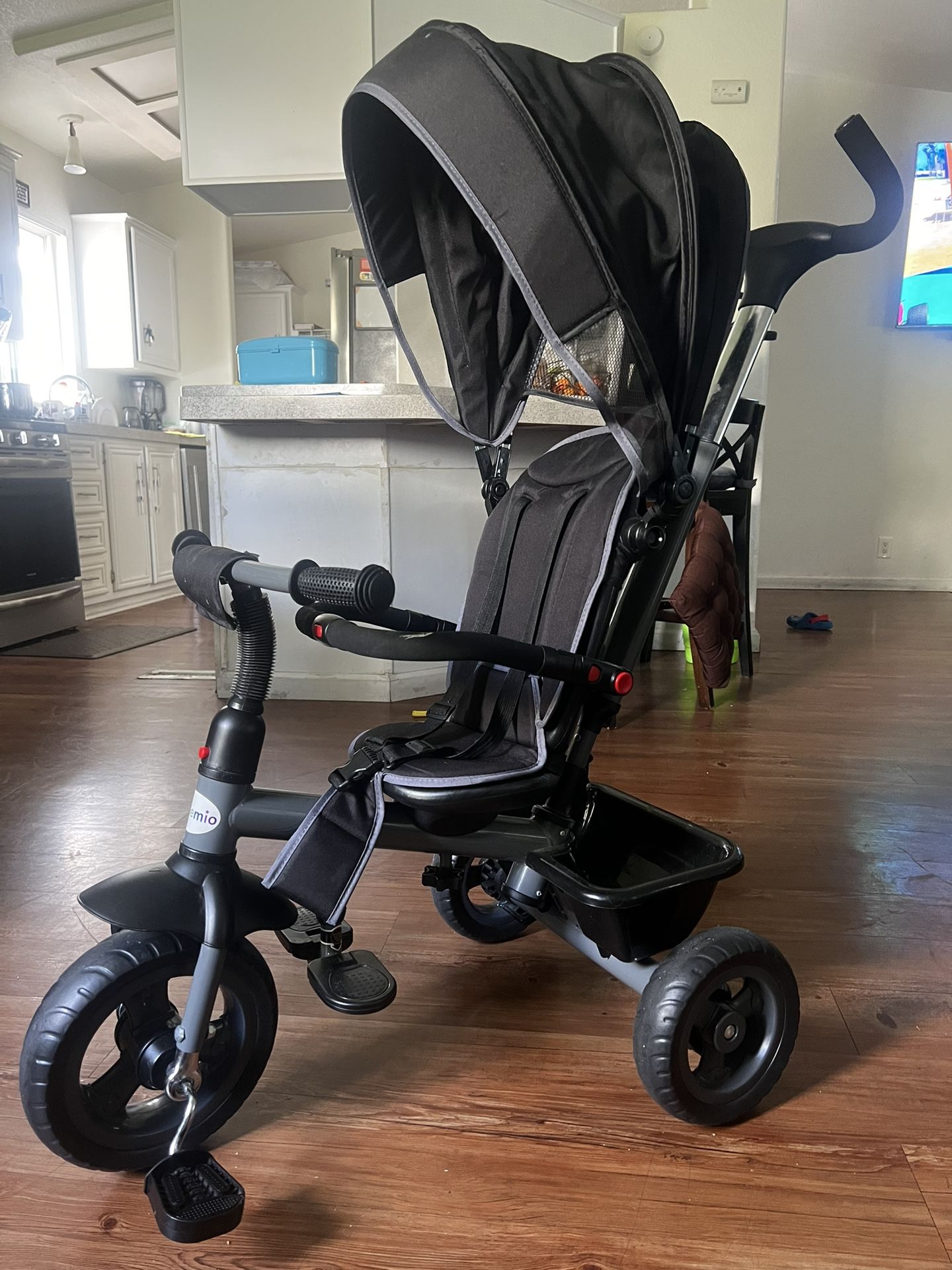Tricycle Stroller 