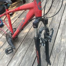 Giant Mountain bike Frame 