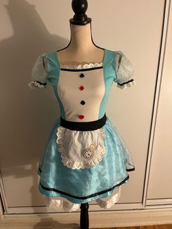 Alice in Wonderland costume
