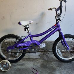 Fuji Rookie Toddler Bike