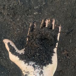 Fresh Compost