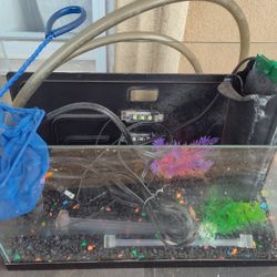 Fish Tank With Accessories