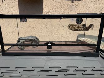 40  Gallon Zoomed Reptile Tank with Accessories