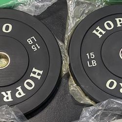 Bumper Plates 15 lb Pair