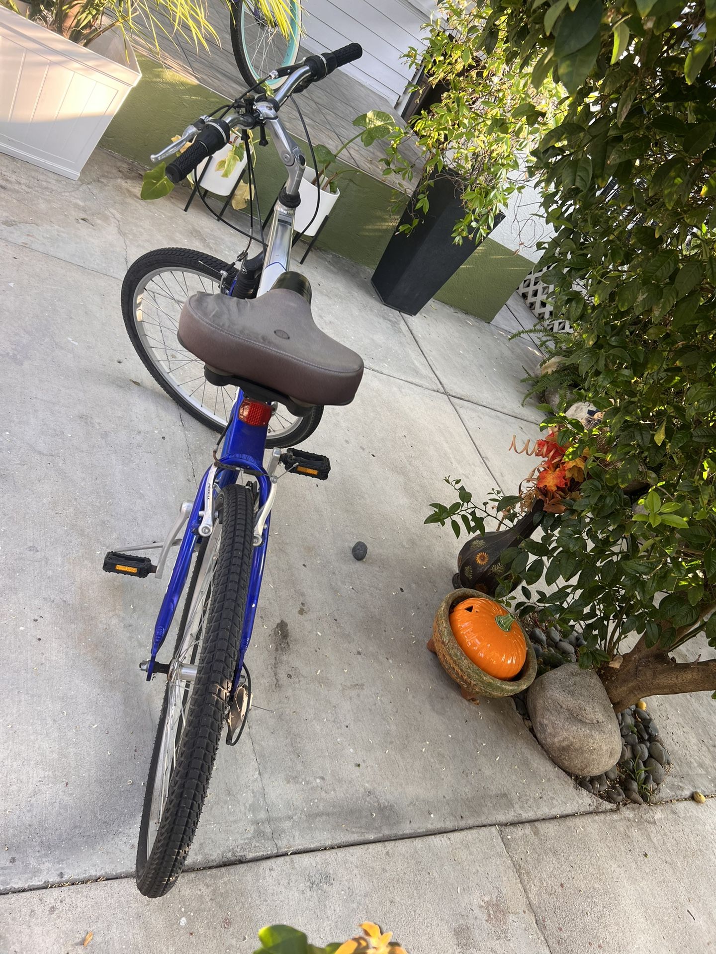 Schwinn Cimarron