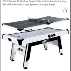 Air Hockey/Ping Pong Table