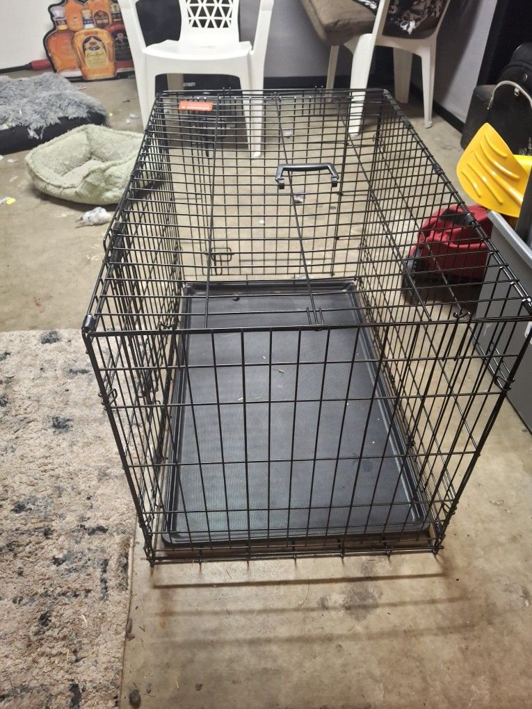 Dog Kennel