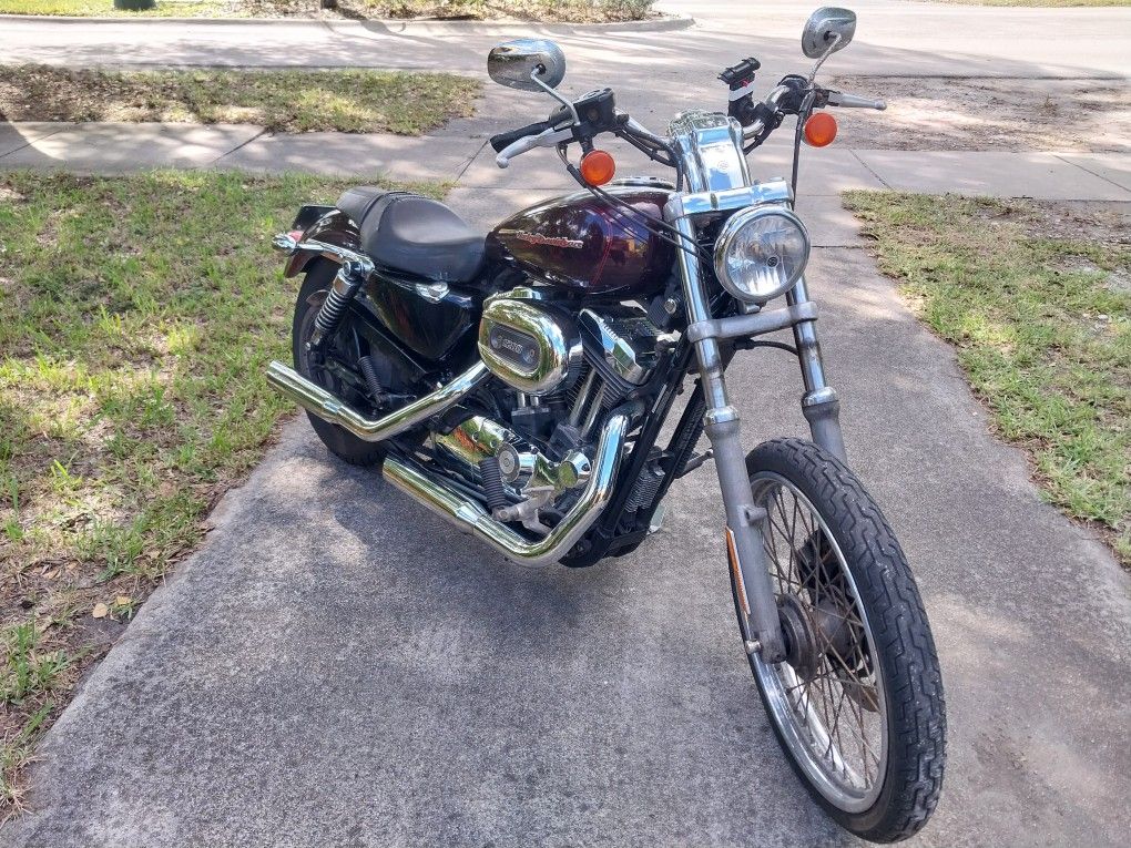 2006 Harley-Davidson Sportster 1200 custom