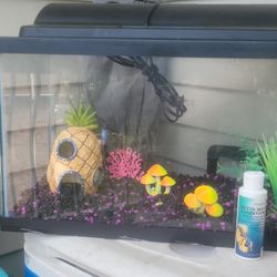 10 gallon fish tank.