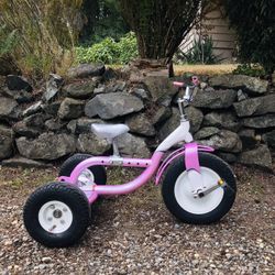 Trek Trikester Tricycle for Sale in Lakewood WA OfferUp