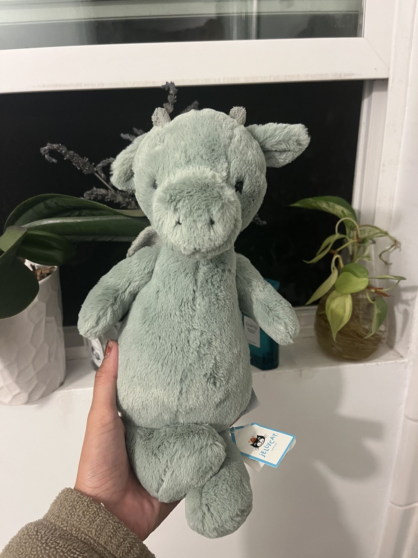 jellycat medium bashful dragon