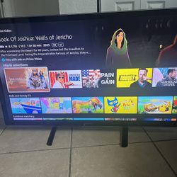 50” Panasonic TV and Amazon Firestick 