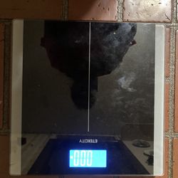 Etekcity  Digital Scale