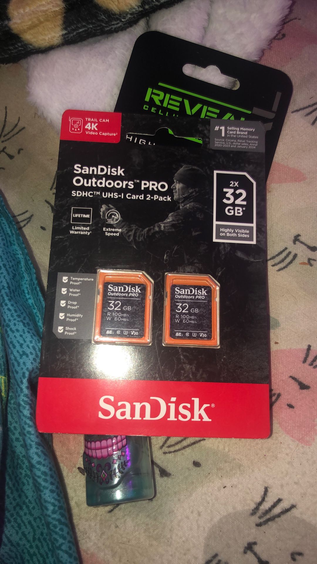 Sandisk