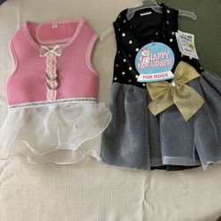 Dog Clothes