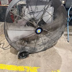 Fan  48