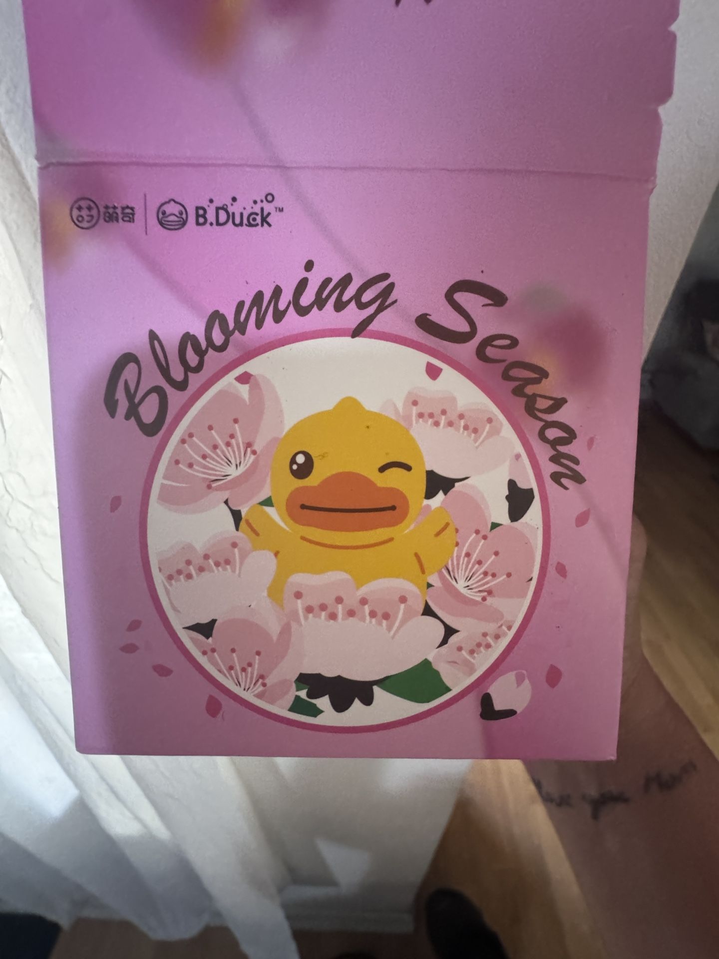 Wind Up Music Box Blind Box Duck Train