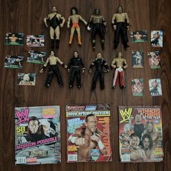 Vintage Jeff & Matt Hardy Wrestling Figures
