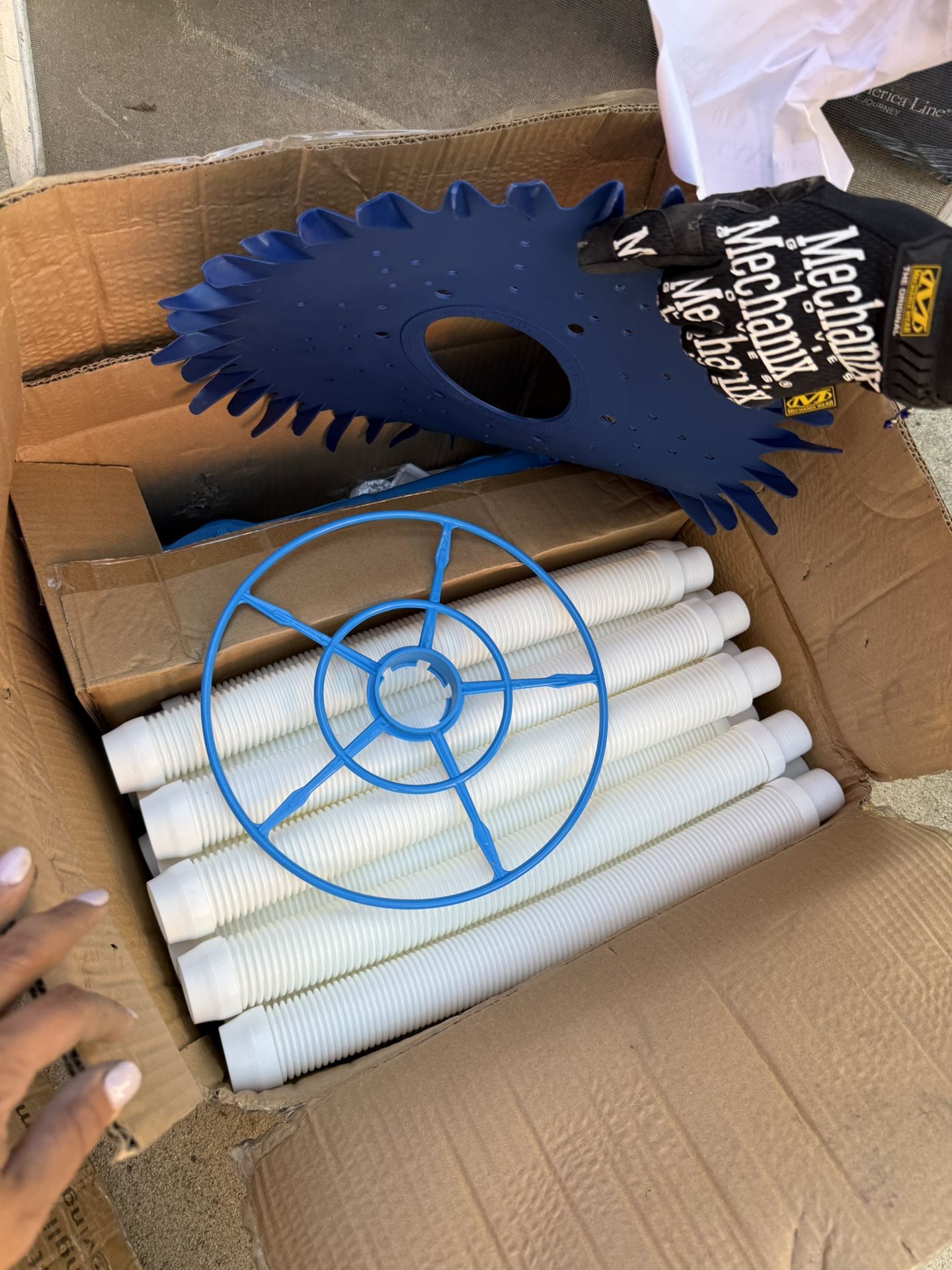 Pool Hose And Vacuum