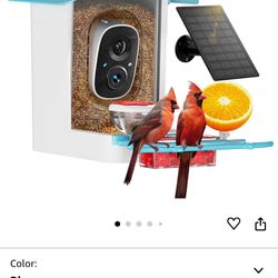 Bird Feeder with Camera 
