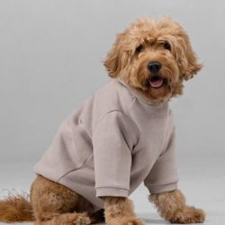 Comfrt Signature Paw Hoodie (Dog 2XL)
