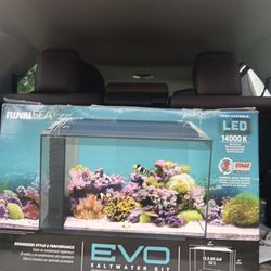 Fish tank