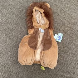Lion Costume Baby
