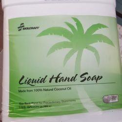 Liquid hand soap