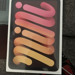 iPad Mini 