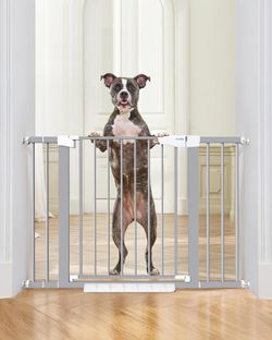Gray Auto-Close Pressure Mounted Indoor Safety Gate 30.5 H 30-46 W