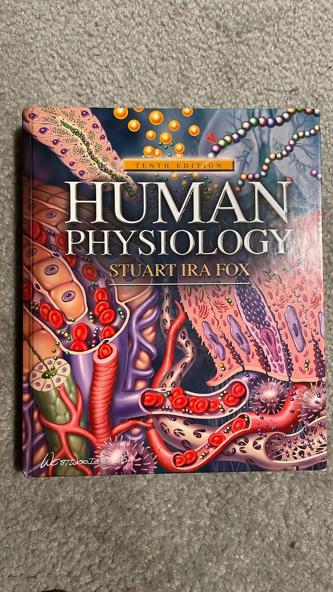 Human Physiology, 10th Edition, Stuart Ira Fox