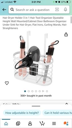 Hair dryer holder