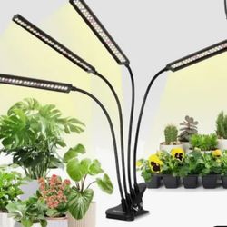 Grow Lights