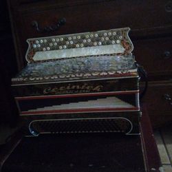 Accordion Colection 
