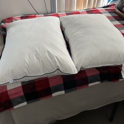 Pillows Barely Used Minor Hair Dye Stains 