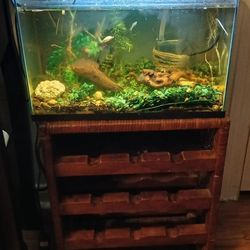 Aquarium-terrarium 