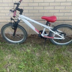 Performance Burnout, 20 Inch Bike