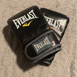 Everlast Mixed Martial Arts Heavy Bag Gloves
