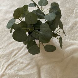 Artificial Plant 