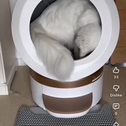 Smart Litter Box