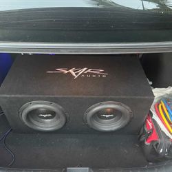 2 10” Skar Audio 