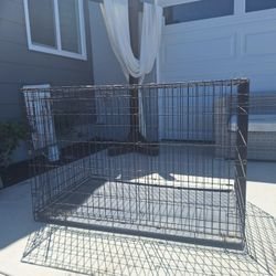 Big Dog Cage
