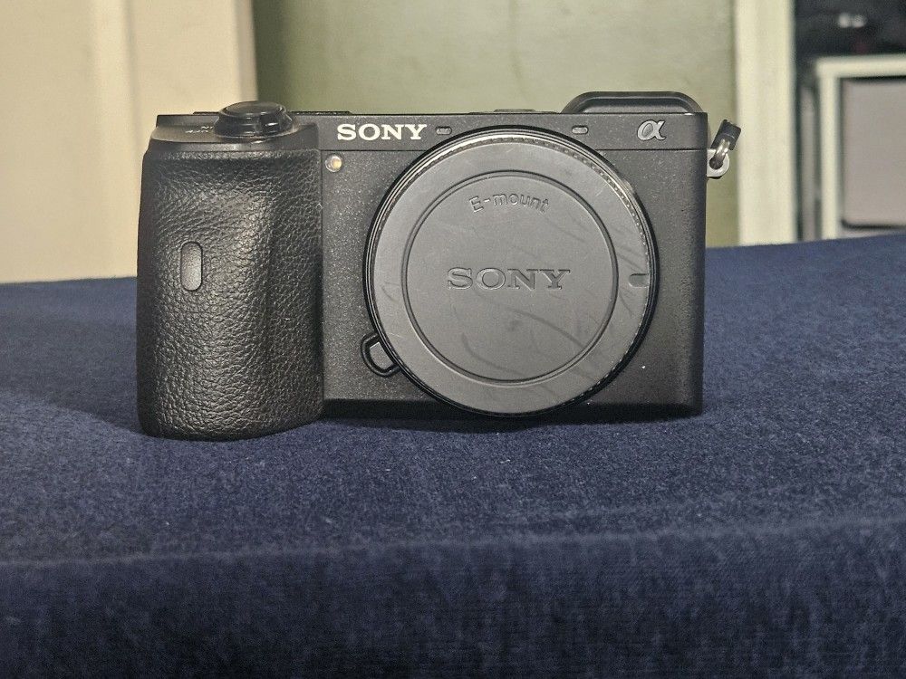 Sony A6600