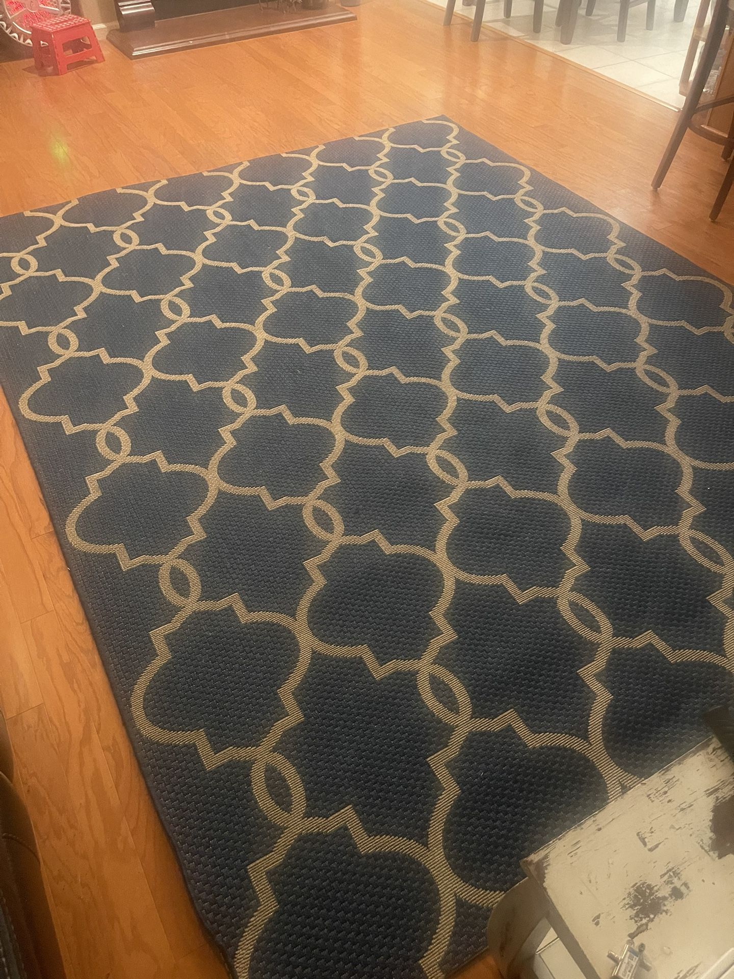 New Area rug 