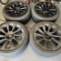 Model Y 20" Induction Wheels With TPMS