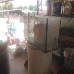 Fish Tank 